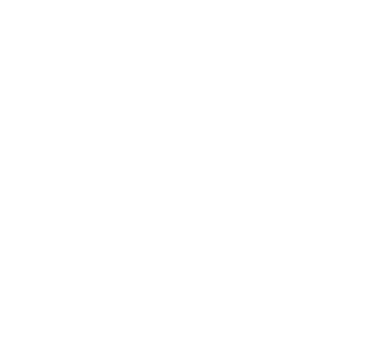 Next International